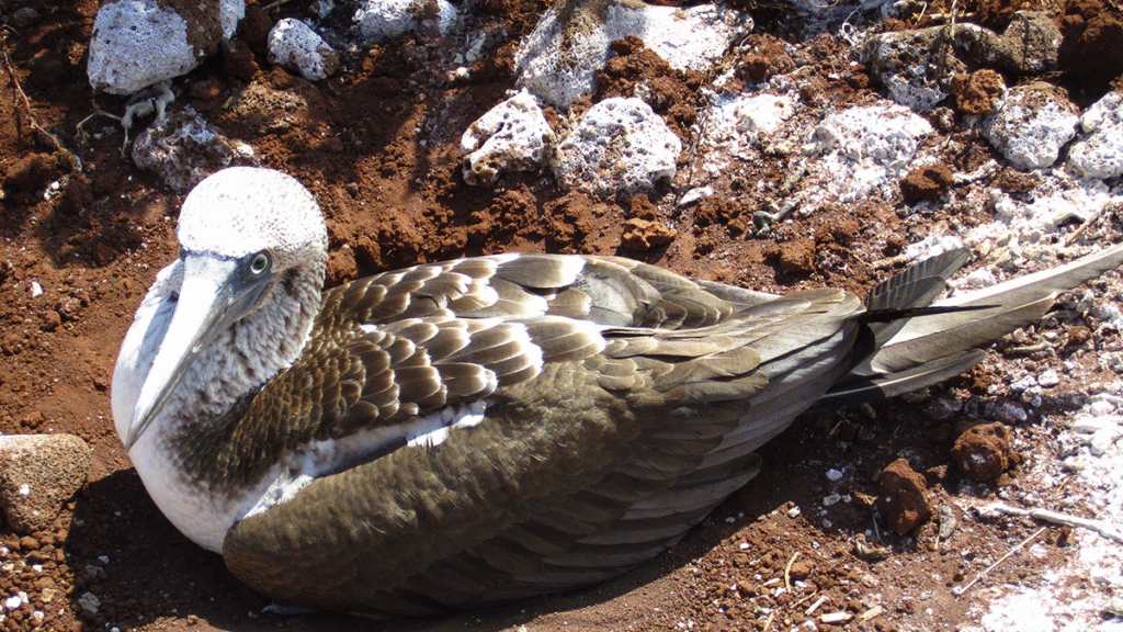 itinerario-d-8-1200x675