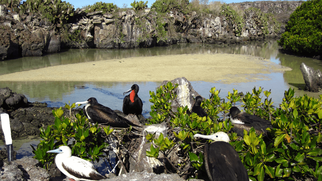 itinerario-d-8-e1551357478726-1200x675