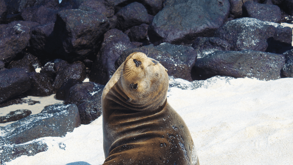 itinerario-h-1-1200x675