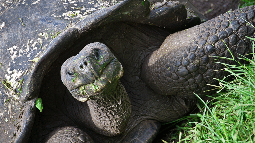 itinerario-h-2-1200x675