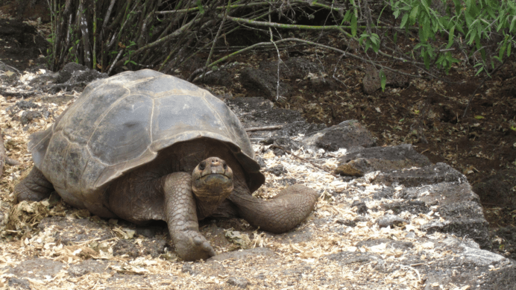 itinerario-h-2-1200x675