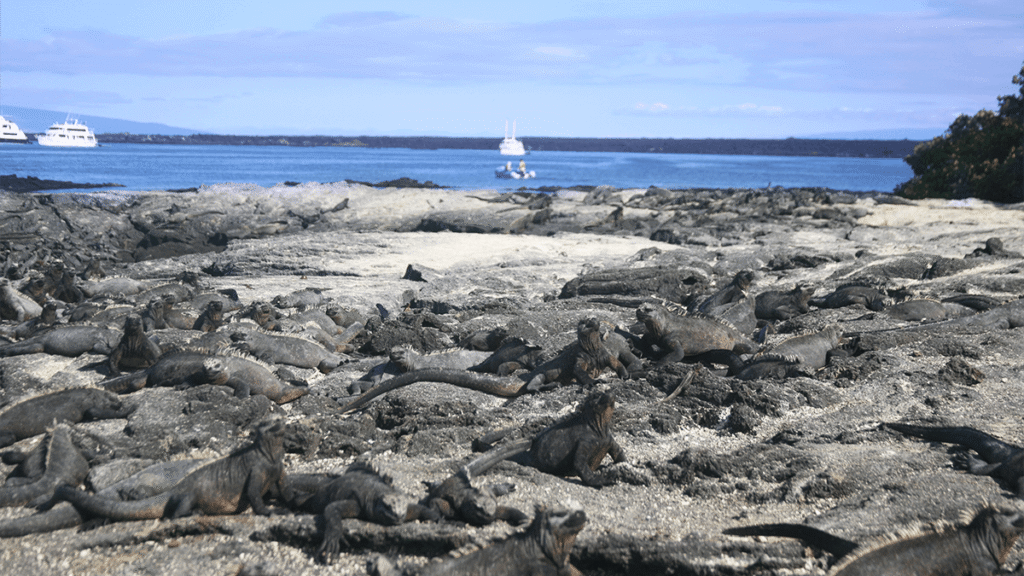 itinerario-h-3-1200x675