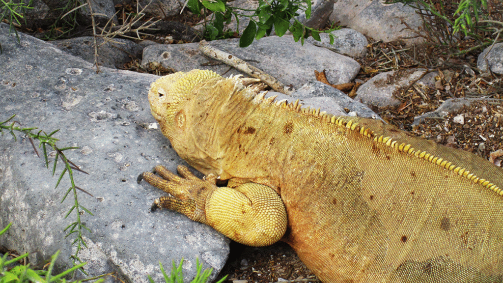 itinerario-h-4-1200x675