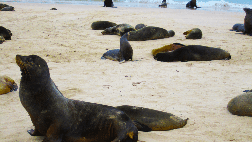 itinerario-h-5-1200x675