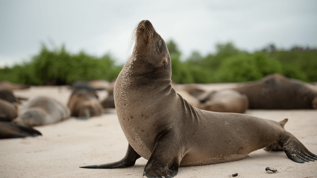 itinerario-h-5-1200x675