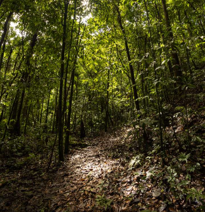 jmJT1kbolO0QPbE9UXub