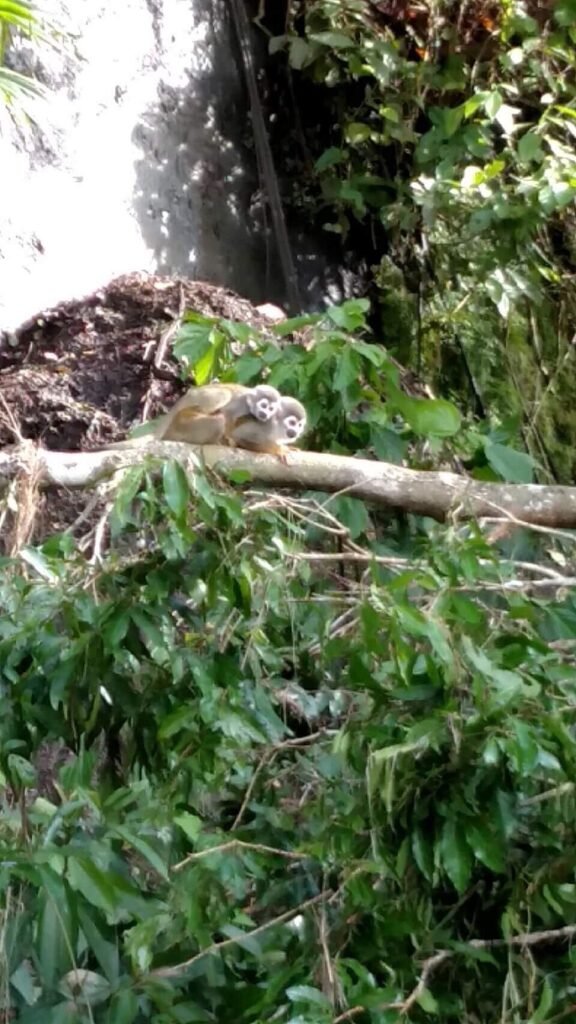 loving-our-stay-here (1)