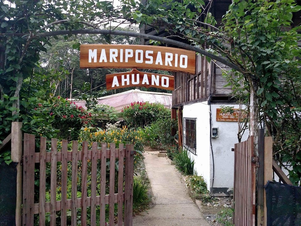 loving-our-stay-here