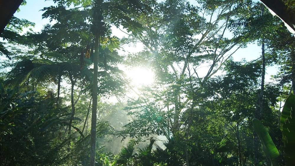 next-to-dinning-room