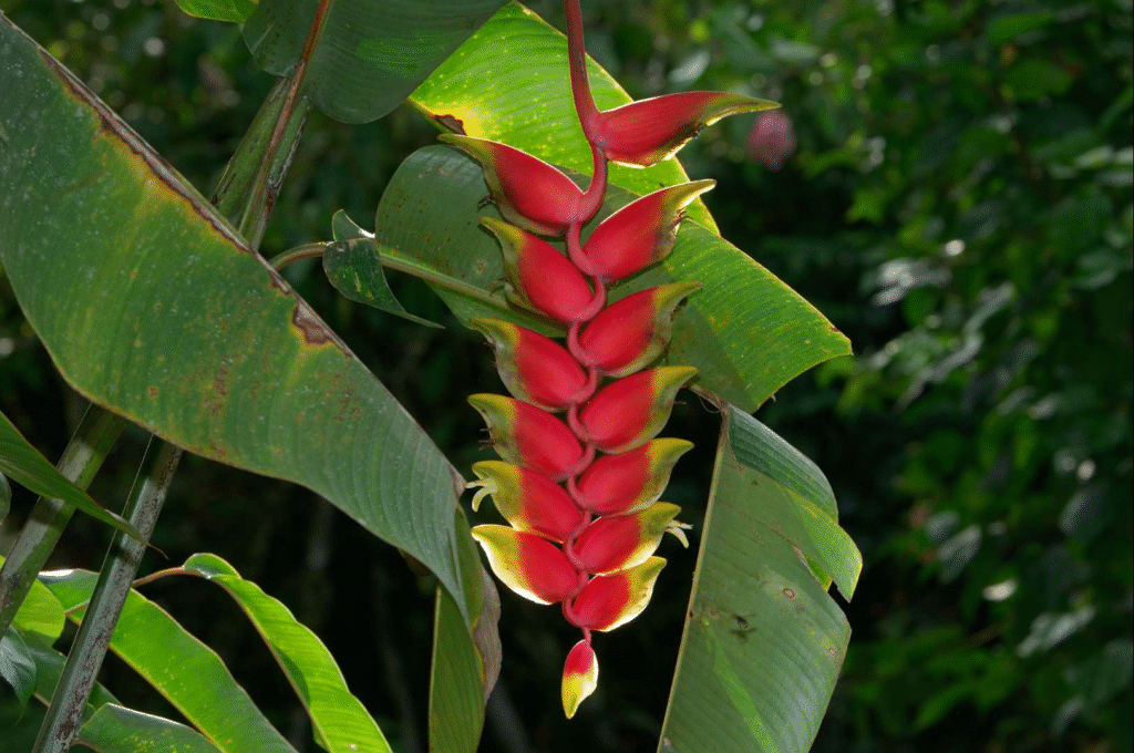 nxpiXAoOuBQ8HW49cabf