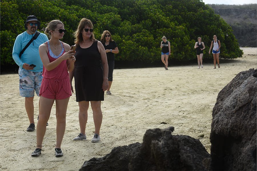 observation2-galaxy-sirius