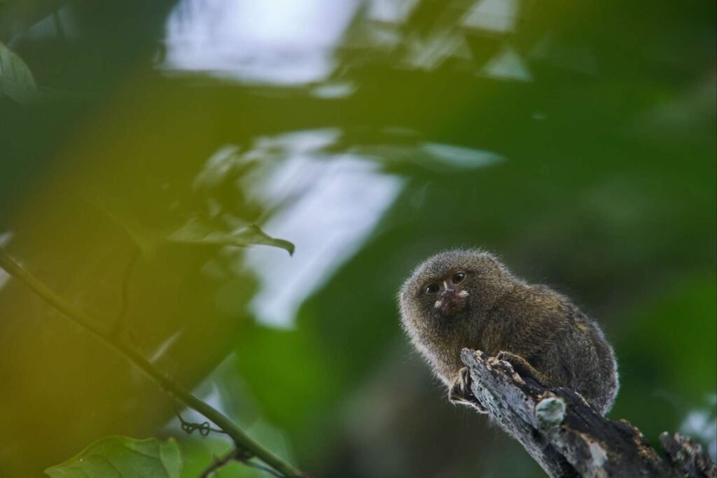 pD1PY8lWsHnCDMQ5EmPC