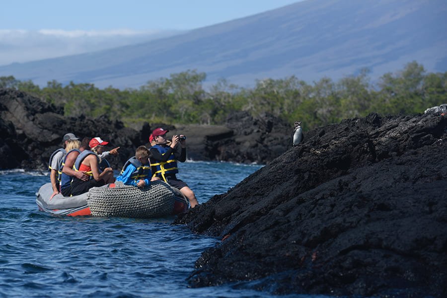 panga1-alya-catamaran