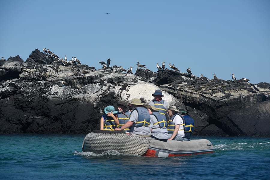 panga2-alya-catamaran