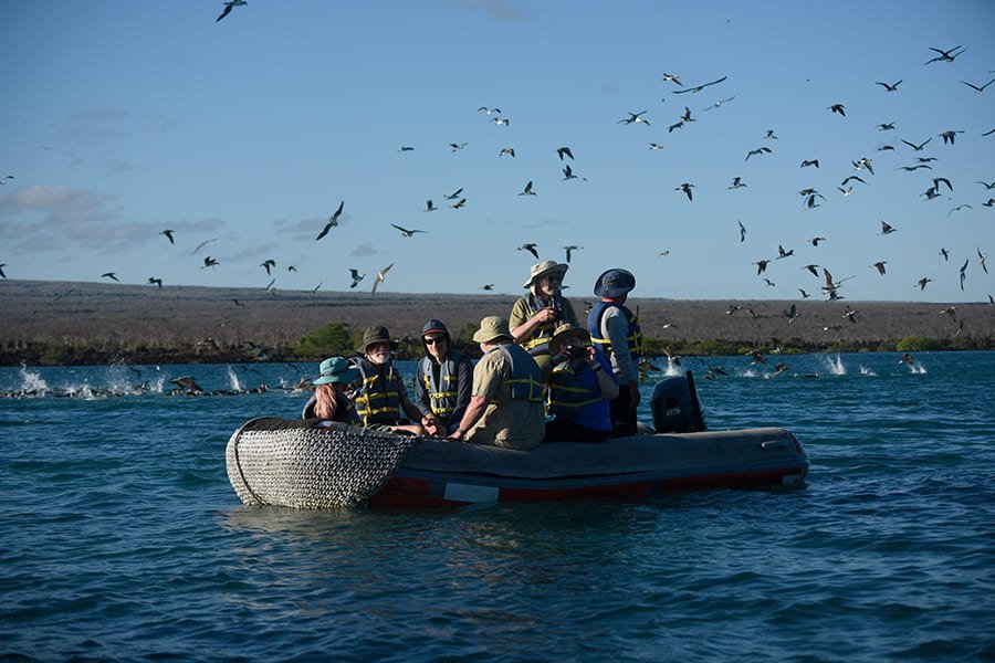 panga3-alya-catamaran