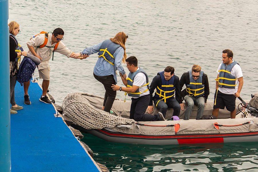 panga4-alya-catamaran