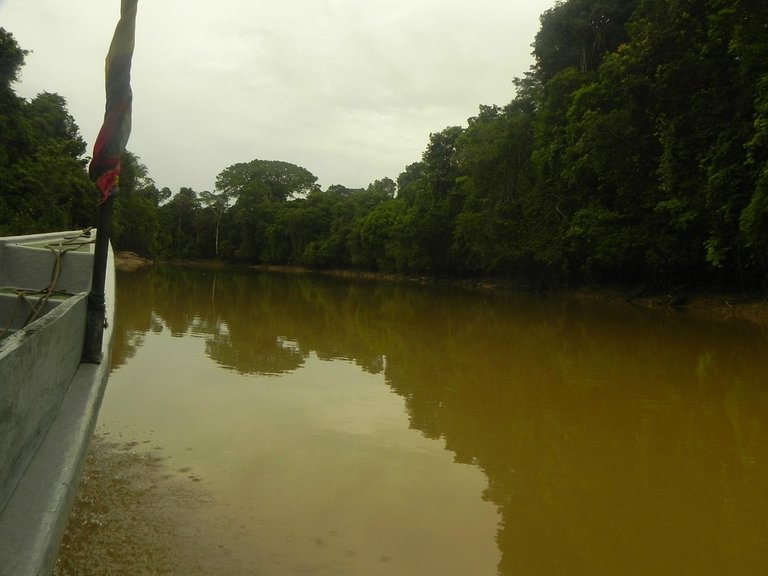 parque-nacional-yasuni