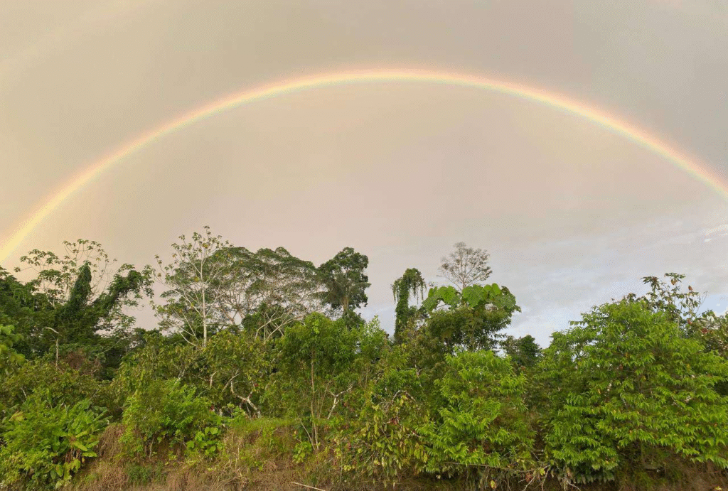 rainbow yarina lodge