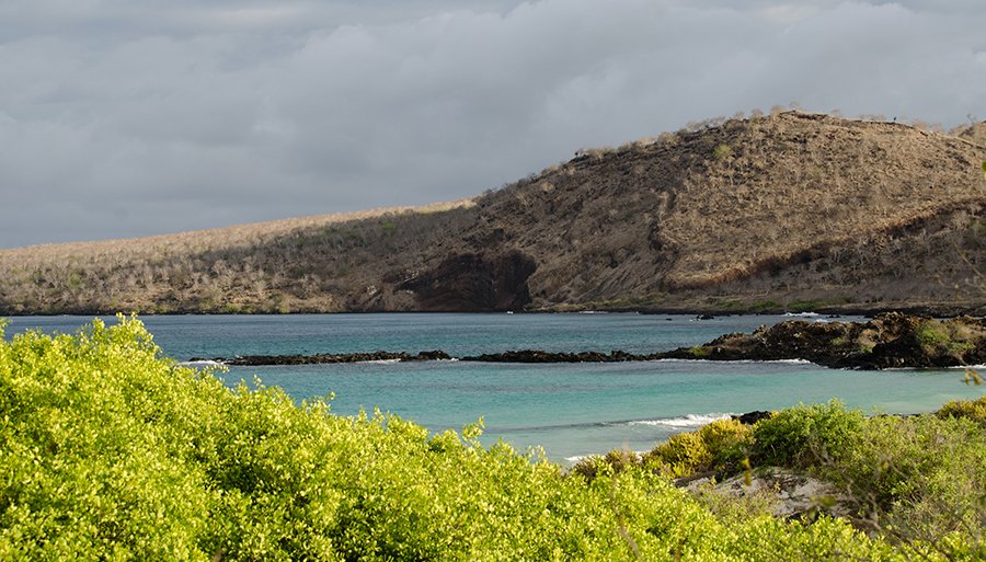 reina-silvia-tours10