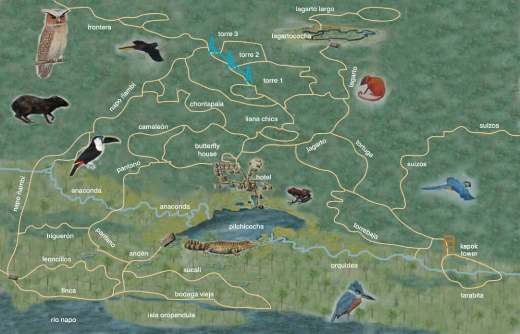 sacha img_activity_map