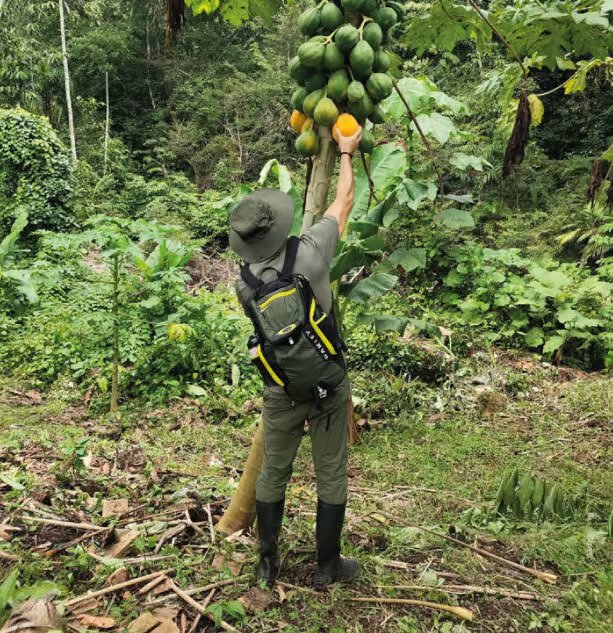 sani lodge activities-nature-walk-1