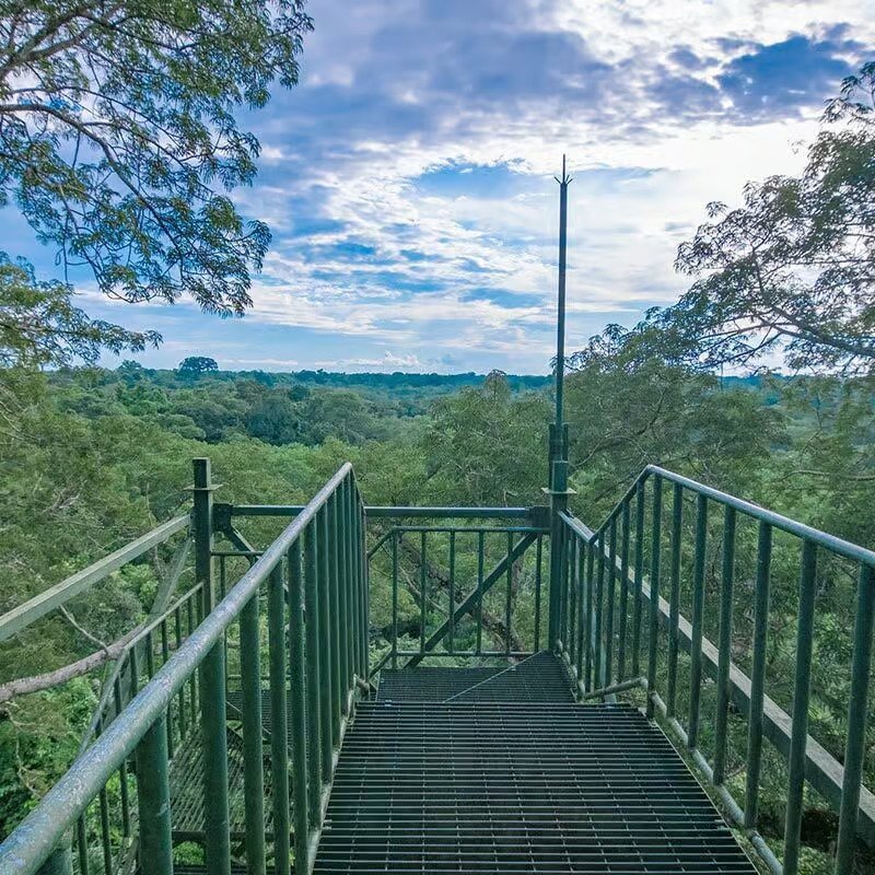 sani lodge canopy-tower-gal10