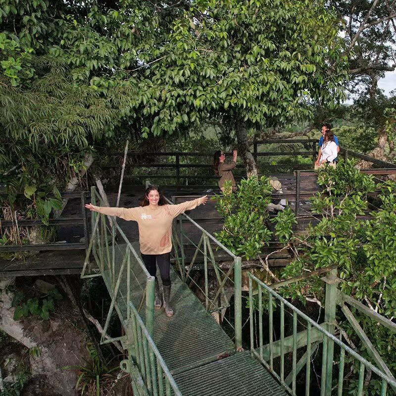 sani lodge canopy-tower-gal4