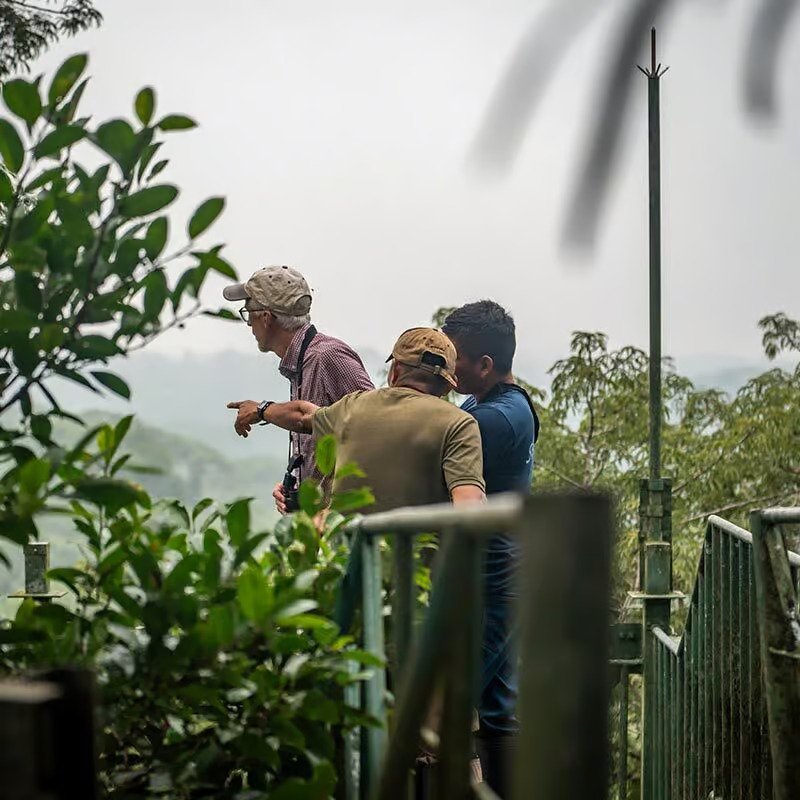 sani lodge canopy-tower-gal9