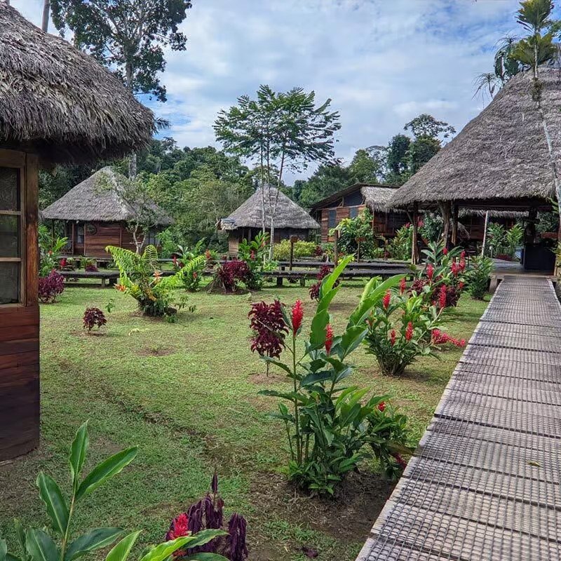 sani lodgesingle-cabin10