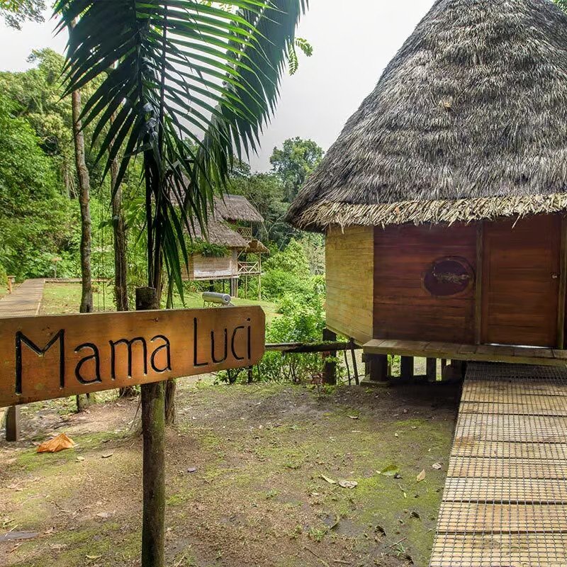 sani lodgesuite-gal9