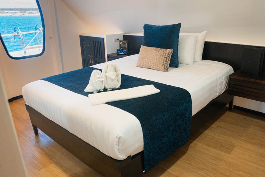 single-cabin1-alya-catamaran