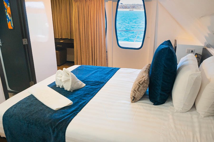 single-cabin2-alya-catamaran