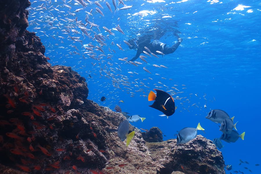 snorkel2-galaxy-sirius