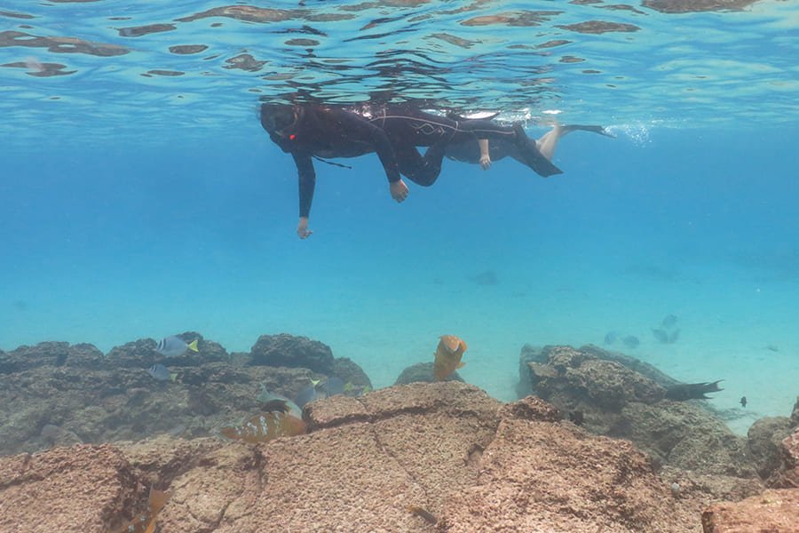 snorkel3-galaxy-sirius