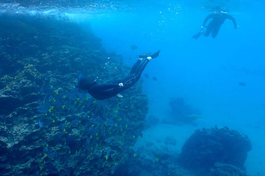 snorkel4-galaxy-sirius