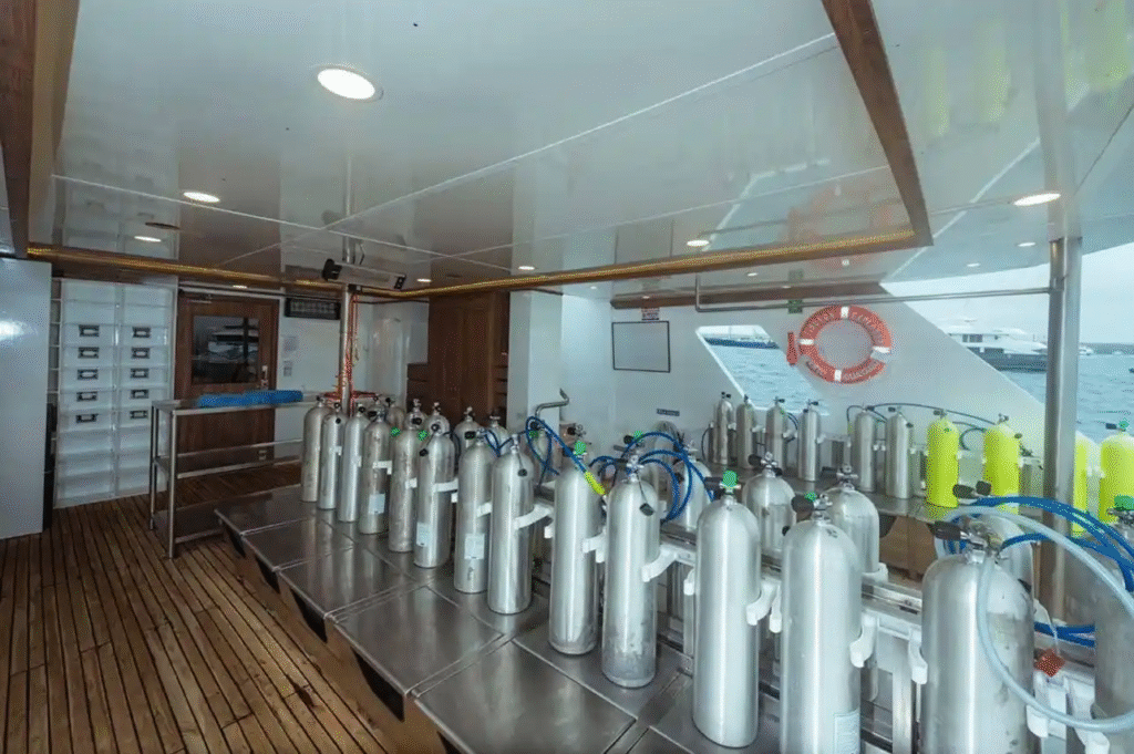 tiburon-explorer-dive-deck-2