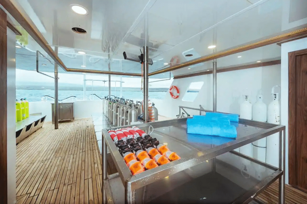 tiburon-explorer-dive-deck-3
