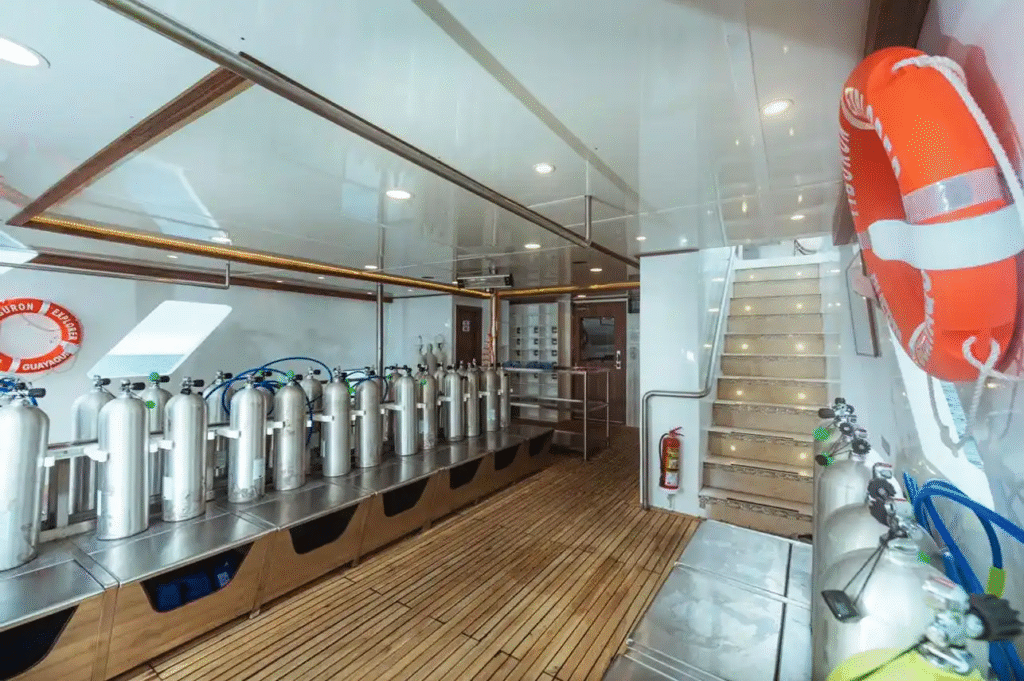 tiburon-explorer-dive-deck-4
