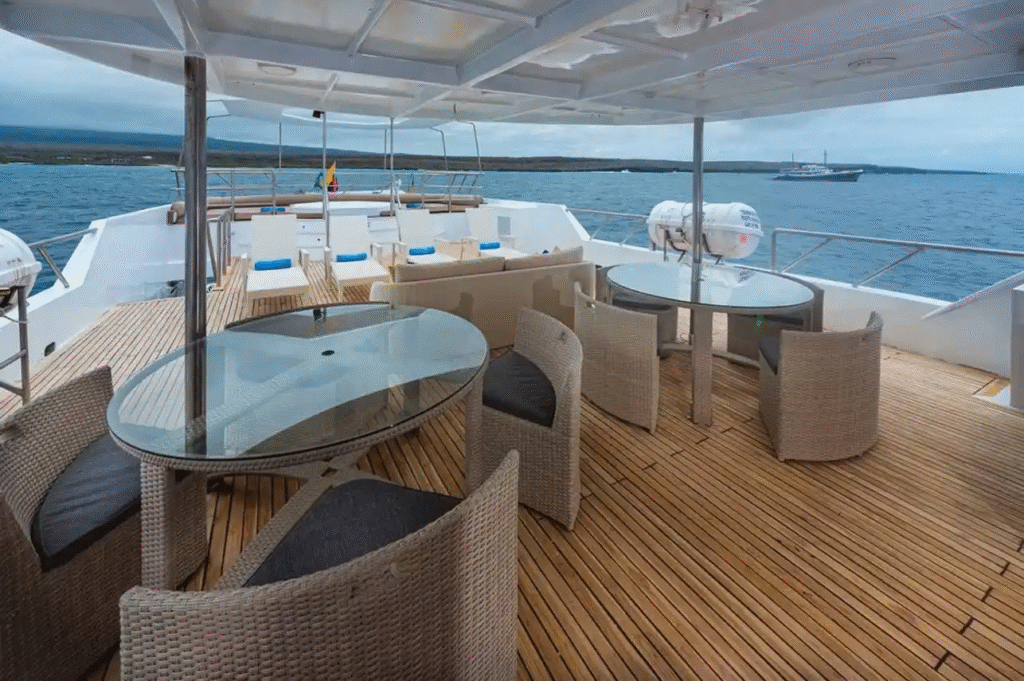 tiburon-explorer-upper-deck-1