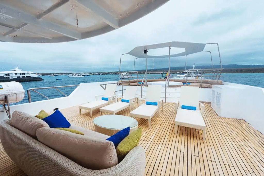 tiburon-explorer-upper-deck-2