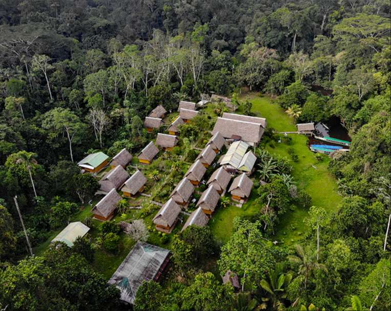 upwards view of yarina lodge