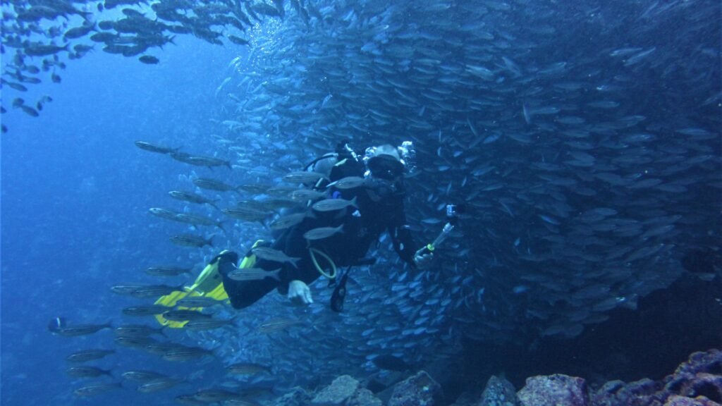 wolf island diving site galapagos-scuba-iguana-plongee-5