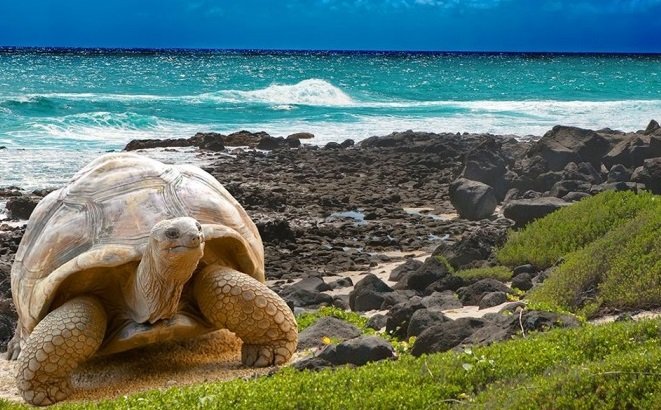 5446eefab33b499a4fa71ea36c9938f1_xl