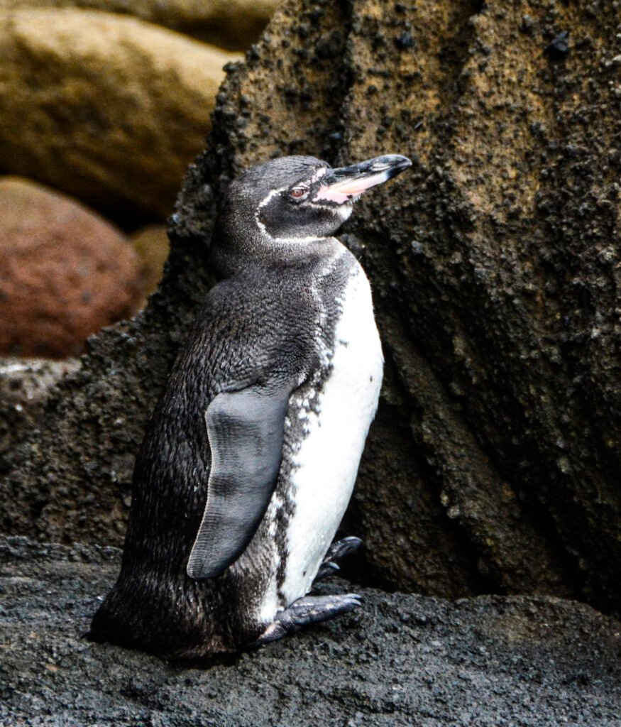 SCII MAY 14-18 2018 (228)