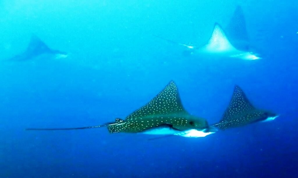 ?????????????????????????????????????????????????????????