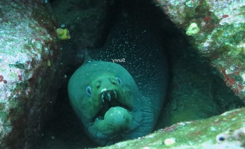 ?????????????????????????????????????????????????????????