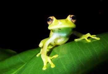 CREATOR: gd-jpeg v1.0 (using IJG JPEG v62), quality = 85