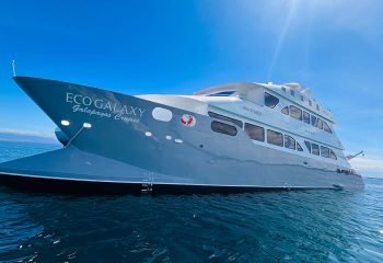 exterior5-ecogalaxy-catamaran