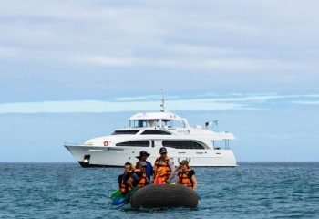 gmajestic-exp-panga-ride