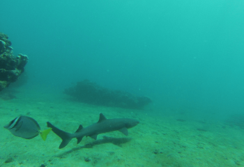 itinerario-a-2-1200x675